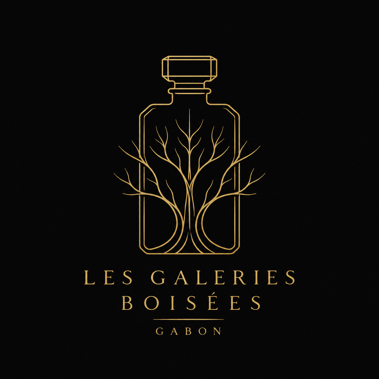 Les Galeries Boisées Gabon